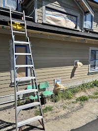 Painting Project